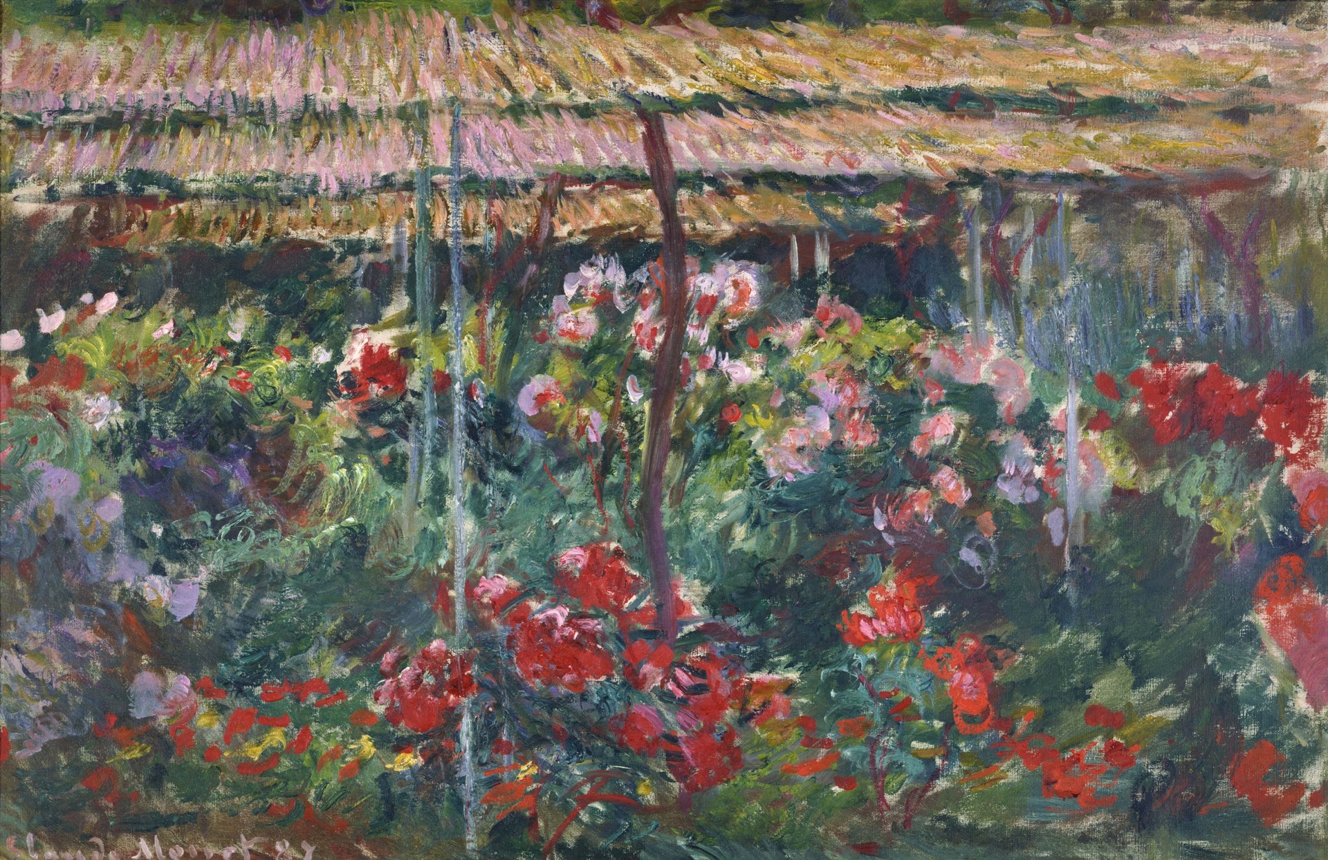 Peony Garden - by Claude Monet