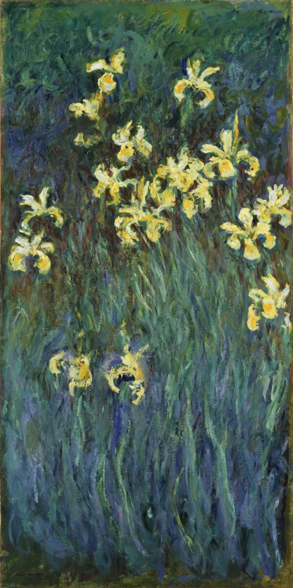 Yellow Irises - by Claude Monet