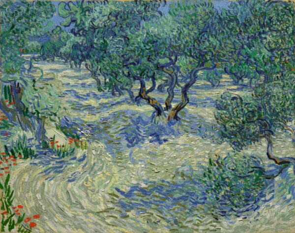 Olive Orchard - by Vincent van Gogh