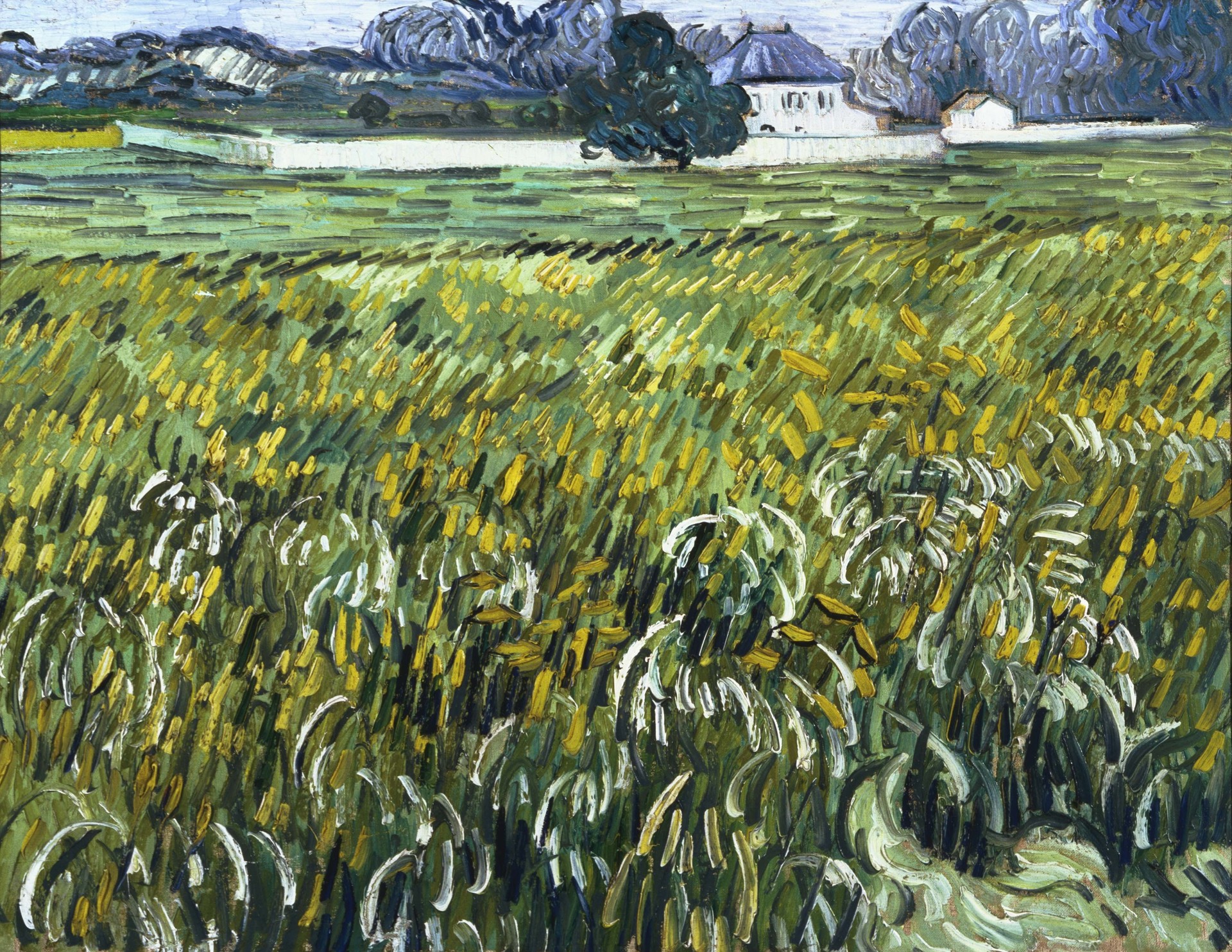 House at Auvers - by Vincent van Gogh