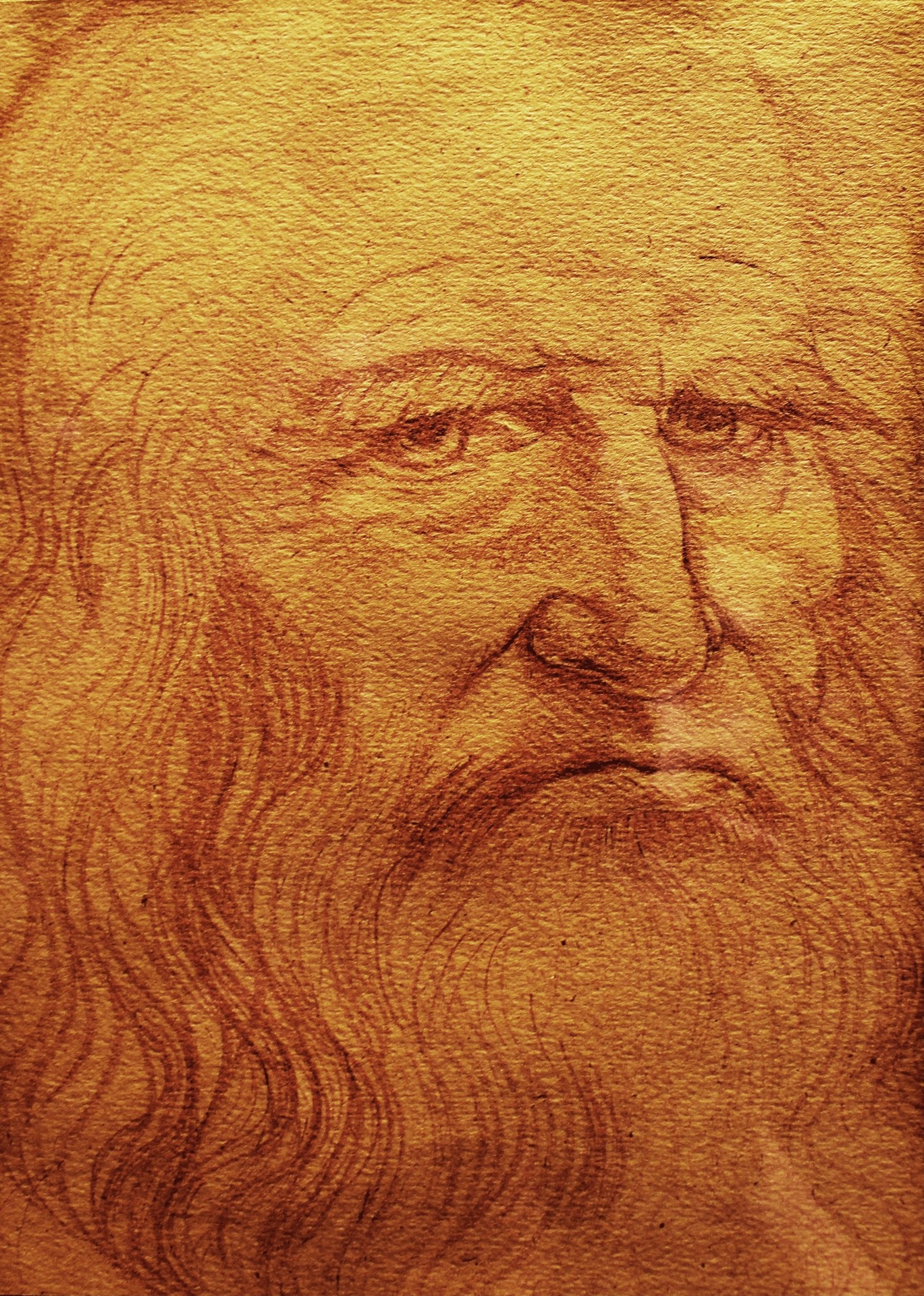 Leonardo da Vinci. Self-portrait - by Da Vinci