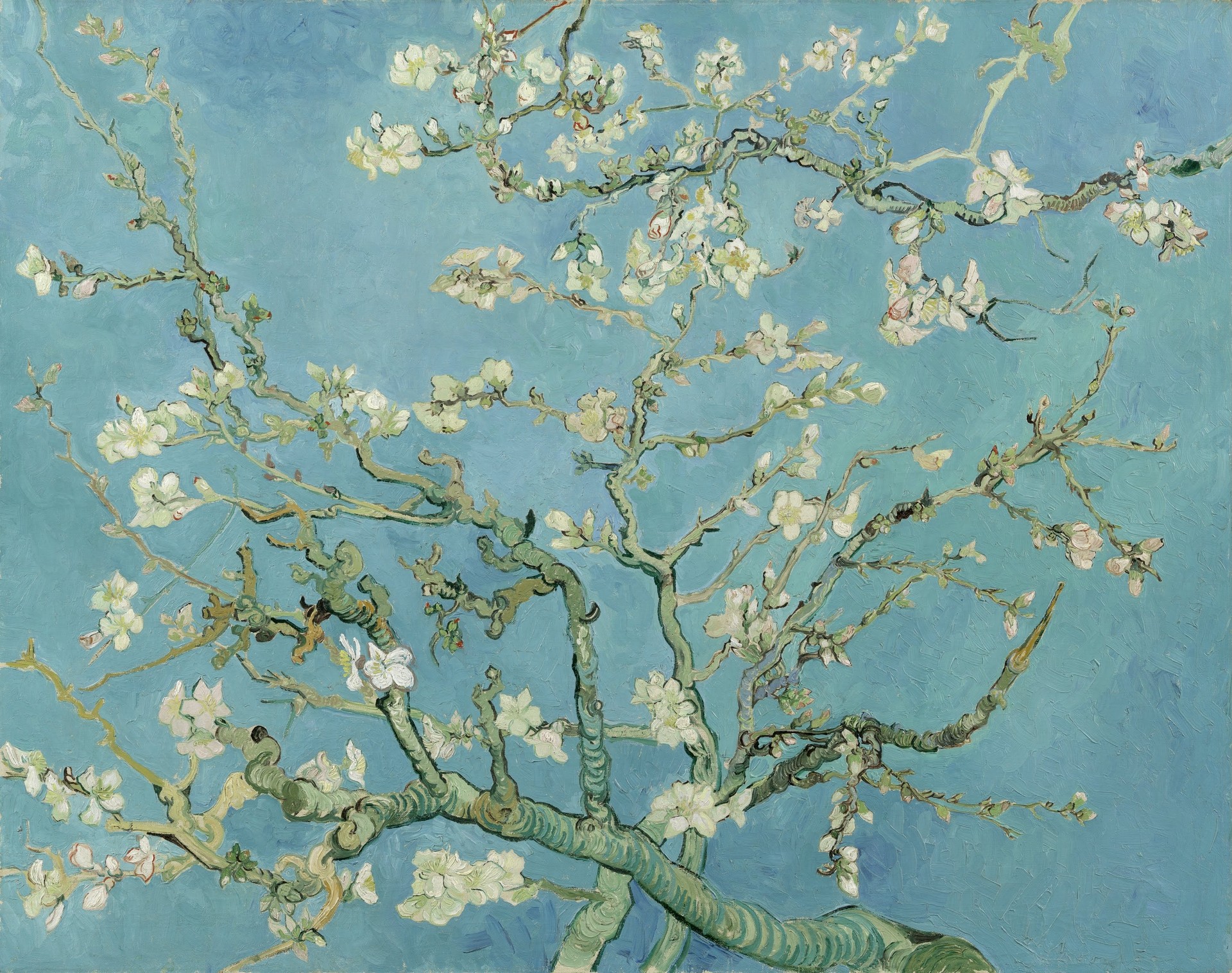 Almond Blossom - by Vincent van Gogh