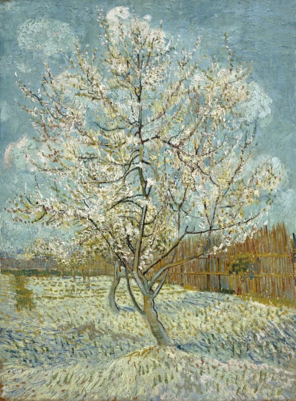The Pink Peach Tree - by Vincent van Gogh
