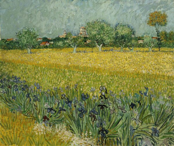 Field with Flowers near Arles - Vincent van Gogh