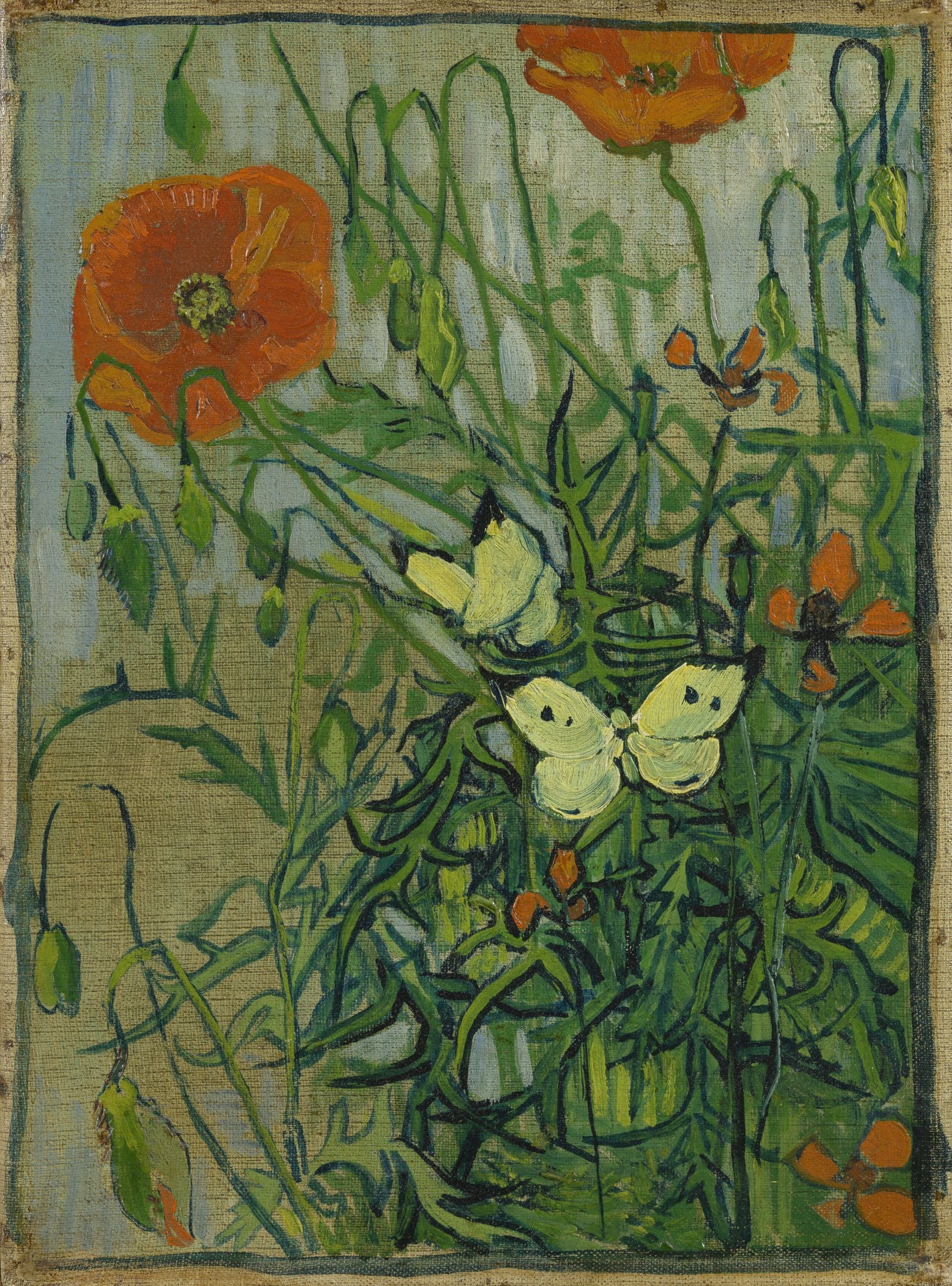 Butterflies and Poppies - by Vincent van Gogh