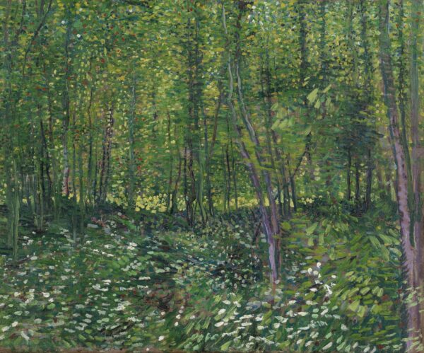 Trees and undergrowth - by Vincent van Gogh