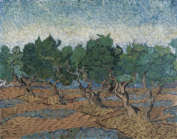 Olive Grove - by Vincent van Gogh