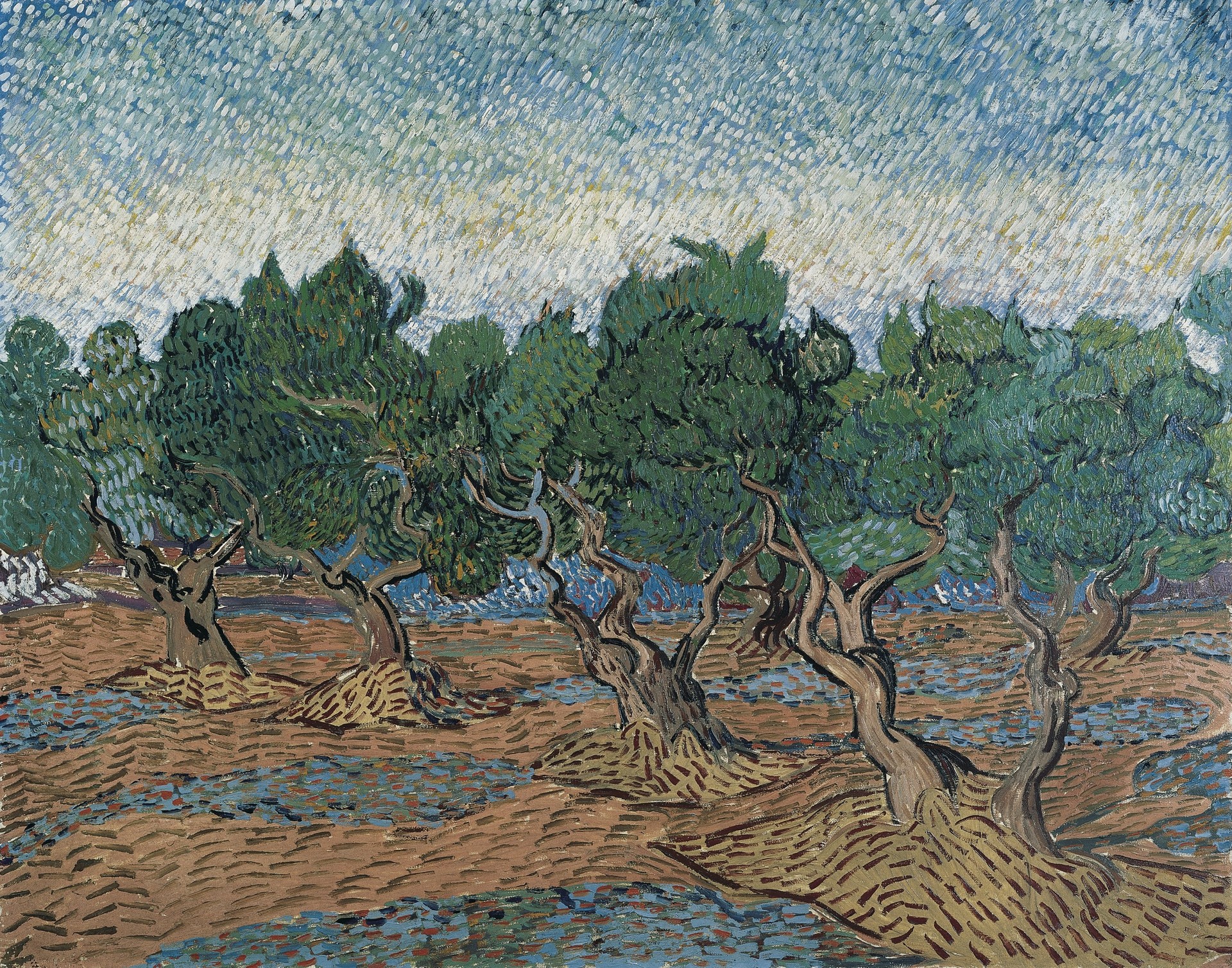 Olive Grove - by Vincent van Gogh