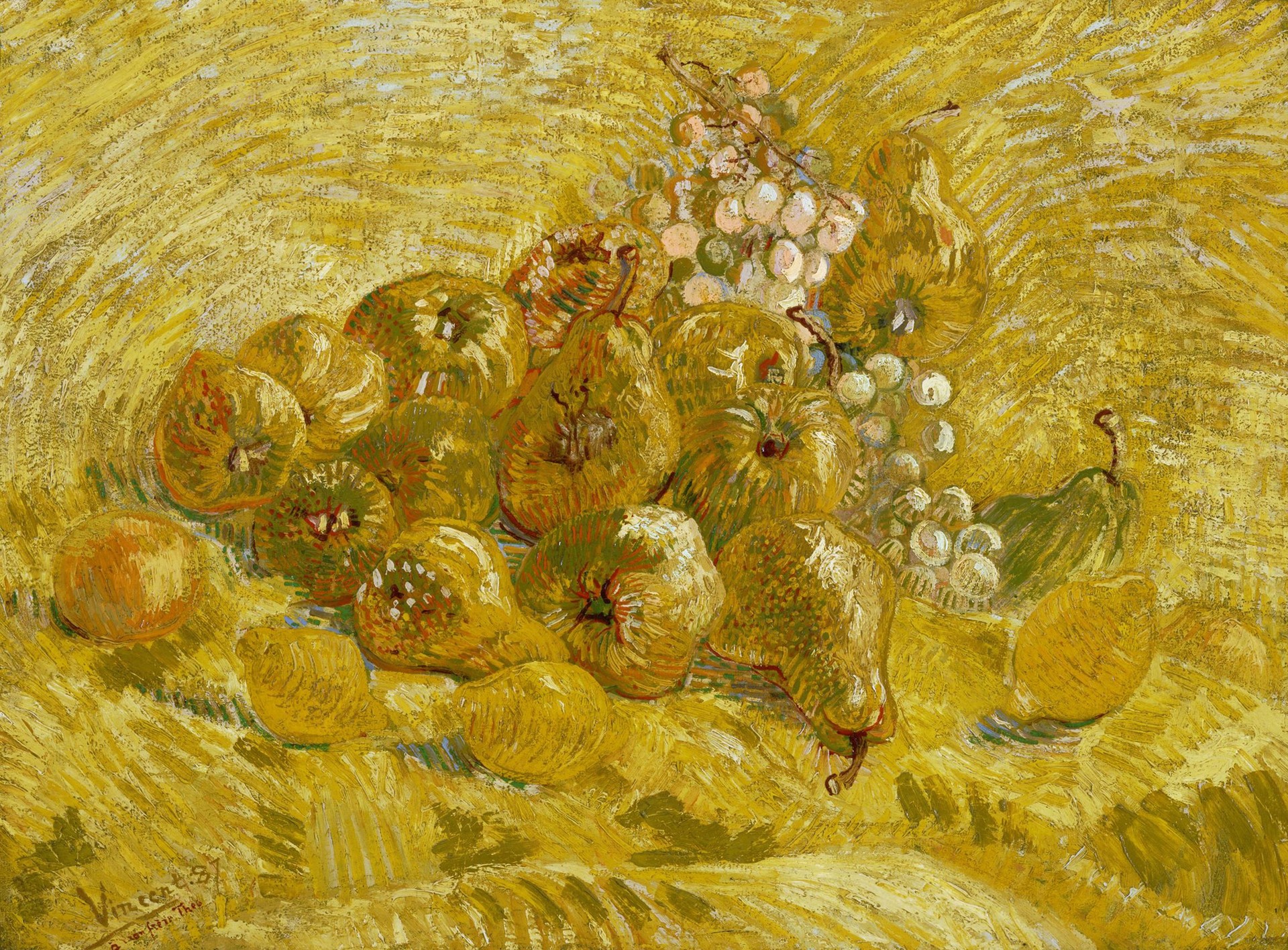 Quinces, lemons, pears and grapes - by Vincent van Gogh
