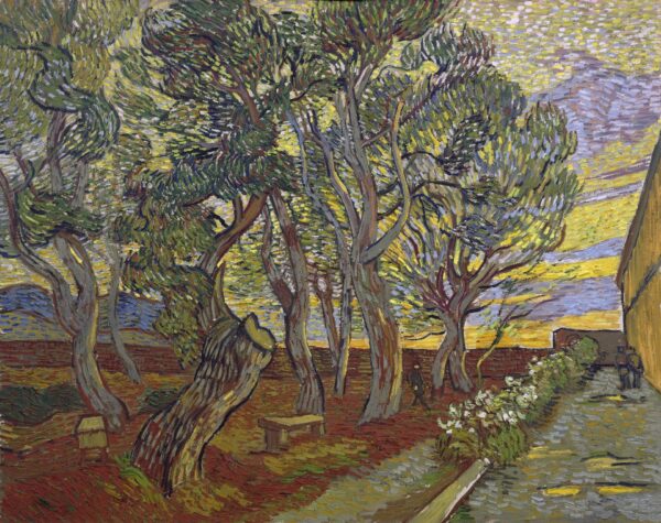 The garden of the Asylum - by Vincent van Gogh