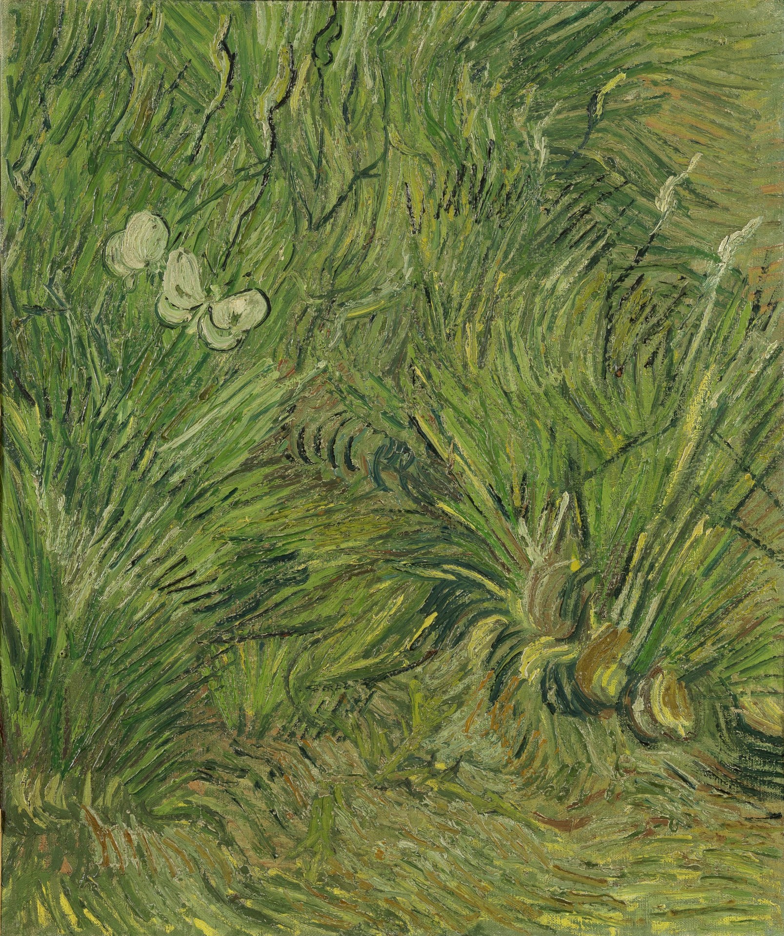 Garden with butterflies - by Vincent van Gogh