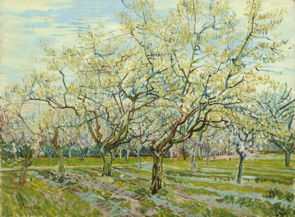 The white orchard - by Vincent van Gogh