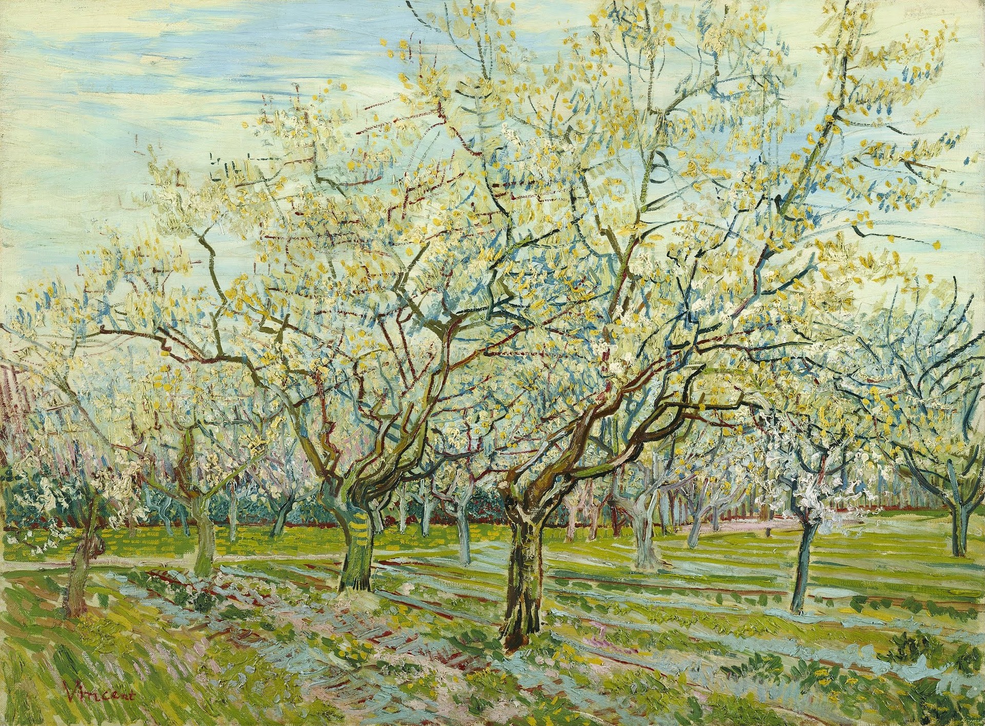 The white orchard - by Vincent van Gogh
