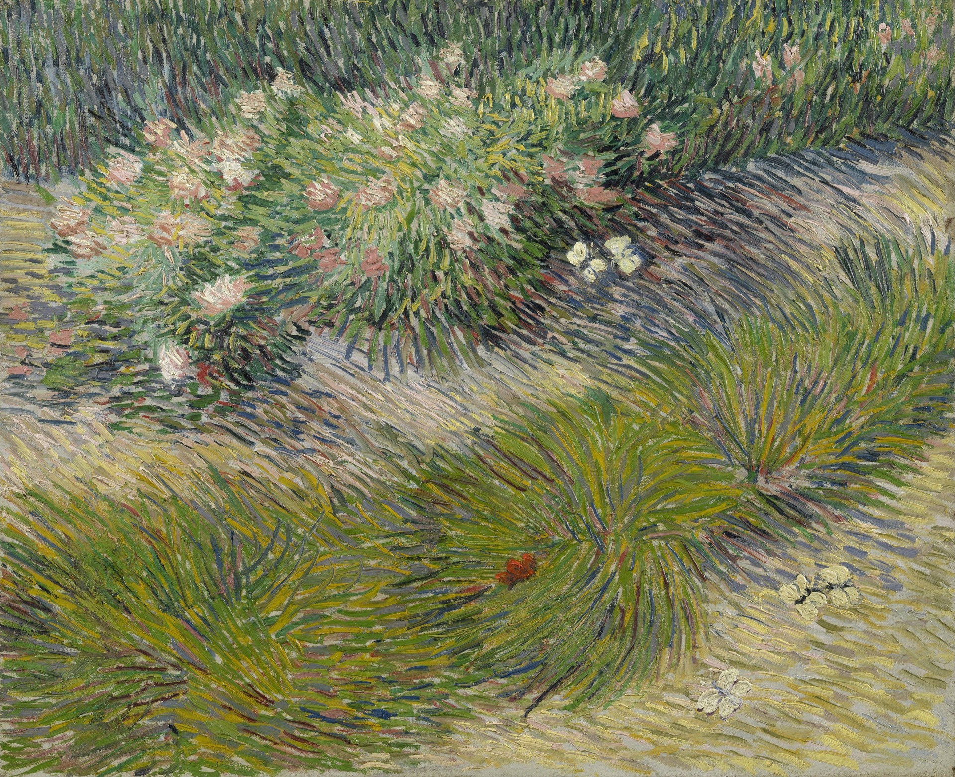 Grass and Butterflies - by Vincent van Gogh