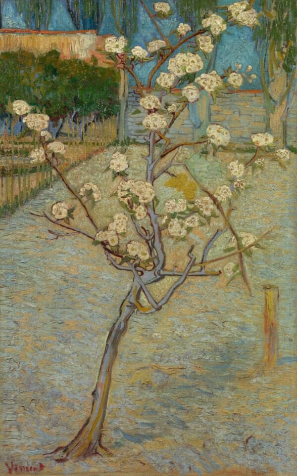 Small pear tree in blossom - by Vincent van Gogh