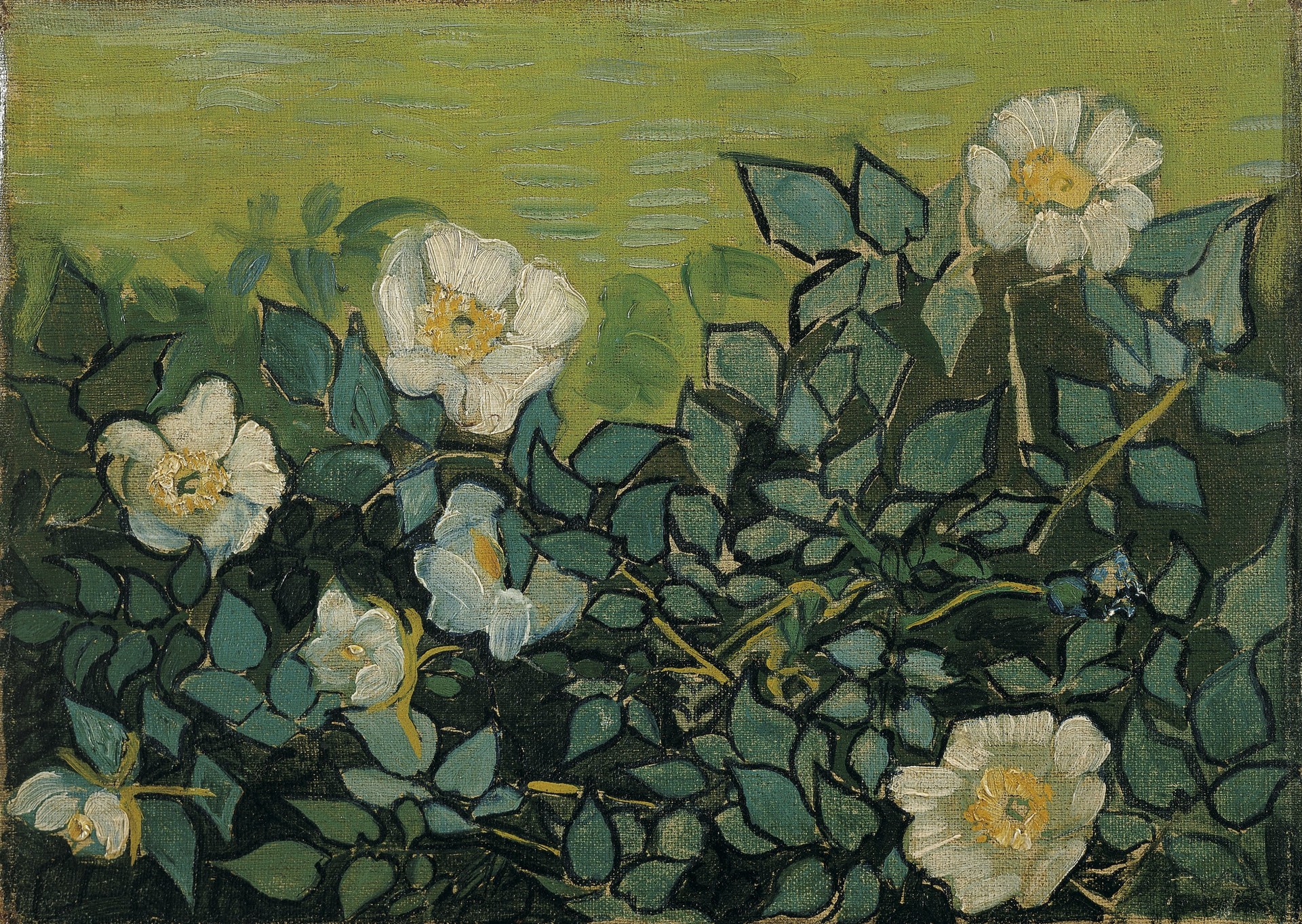 Wild Roses - by Vincent van Gogh