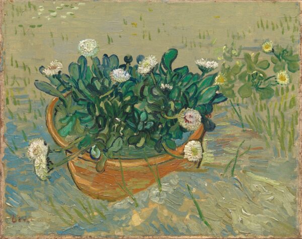 Daisies, Arles - by Vincent van Gogh