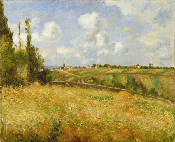 A Rye Field, Hill of Gratte Coqs, Pontoise - by Camille Pissarro