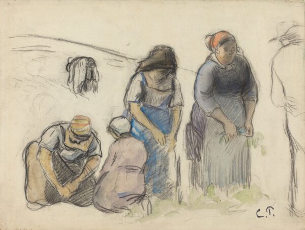 Pea Harvesters (recto) - by Camille Pissarro