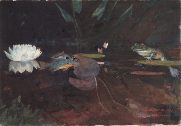 Mink Pond - by Winslow Homer