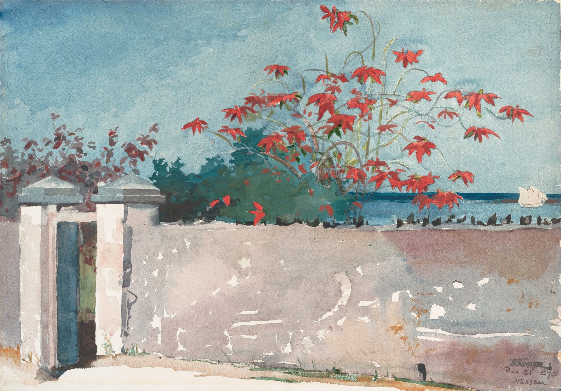 A Wall, Nassau - by Winslow Homer