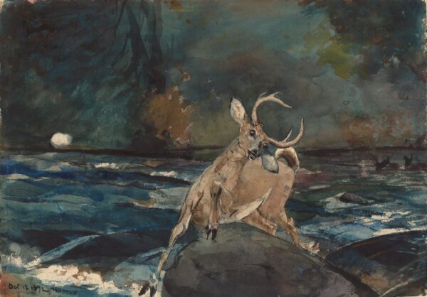A Good Shot, Adirondacks - by Winslow Homer