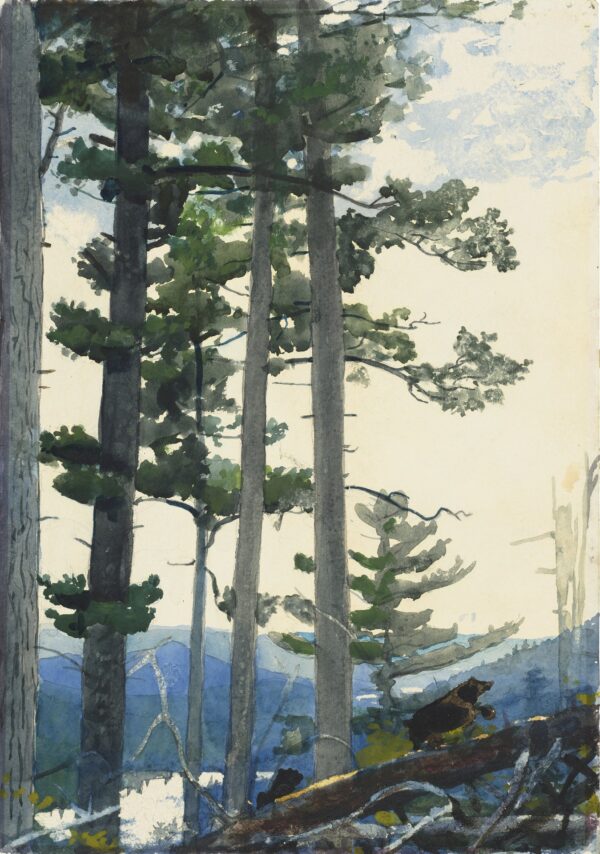 Old Settlers - by Winslow Homer