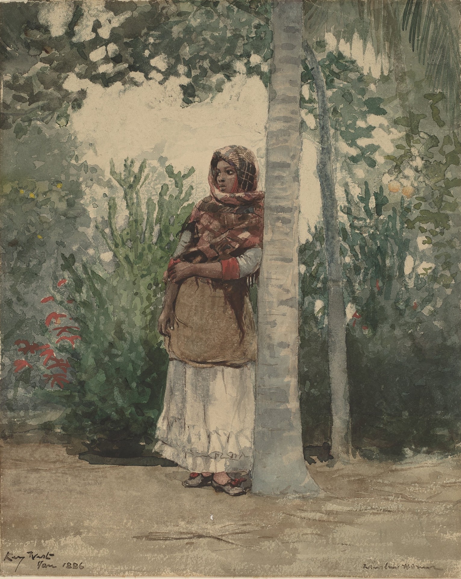 Under a Palm Tree - by Winslow Homer