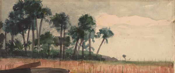 Palm Trees, Red - by Winslow Homer