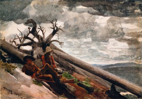 Burnt Mountain - by Winslow Homer