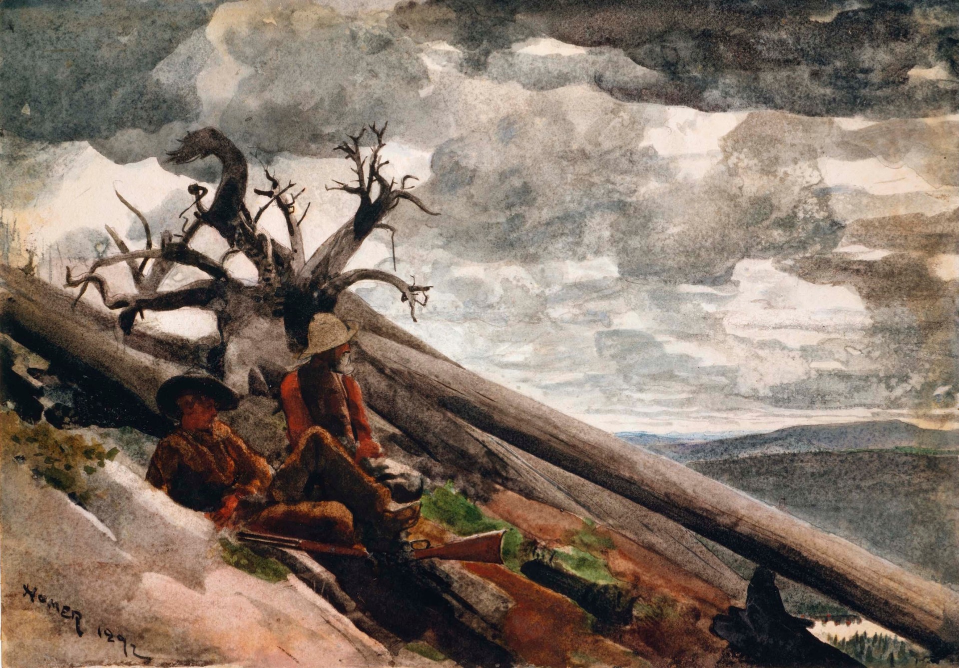 Burnt Mountain - by Winslow Homer