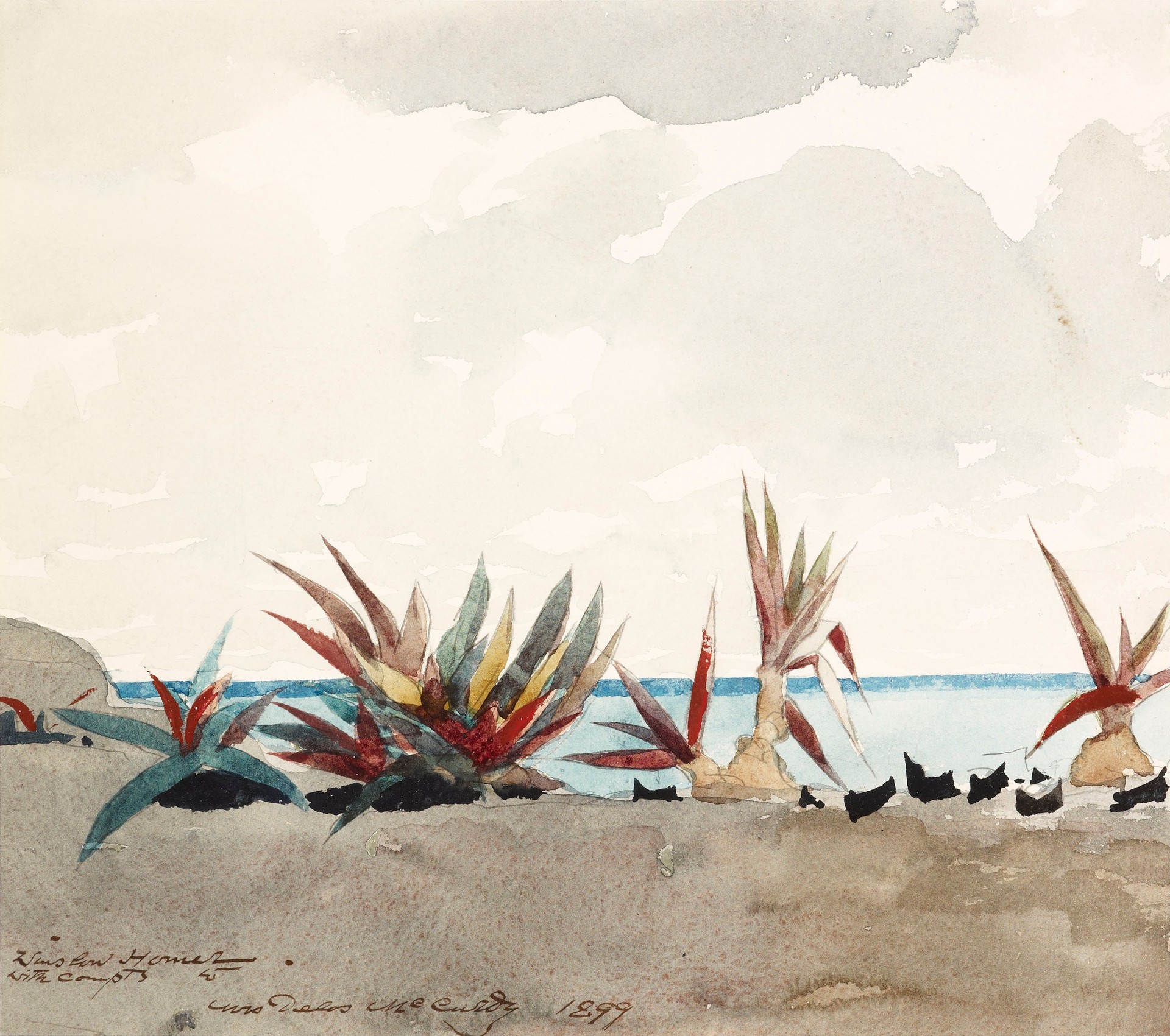 Nassau Beach with Century Plants - by Winslow Homer
