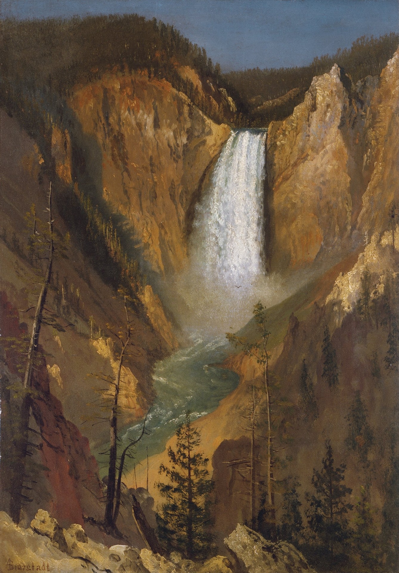 Lower Falls of the Yellowstone - by Albert Bierstadt