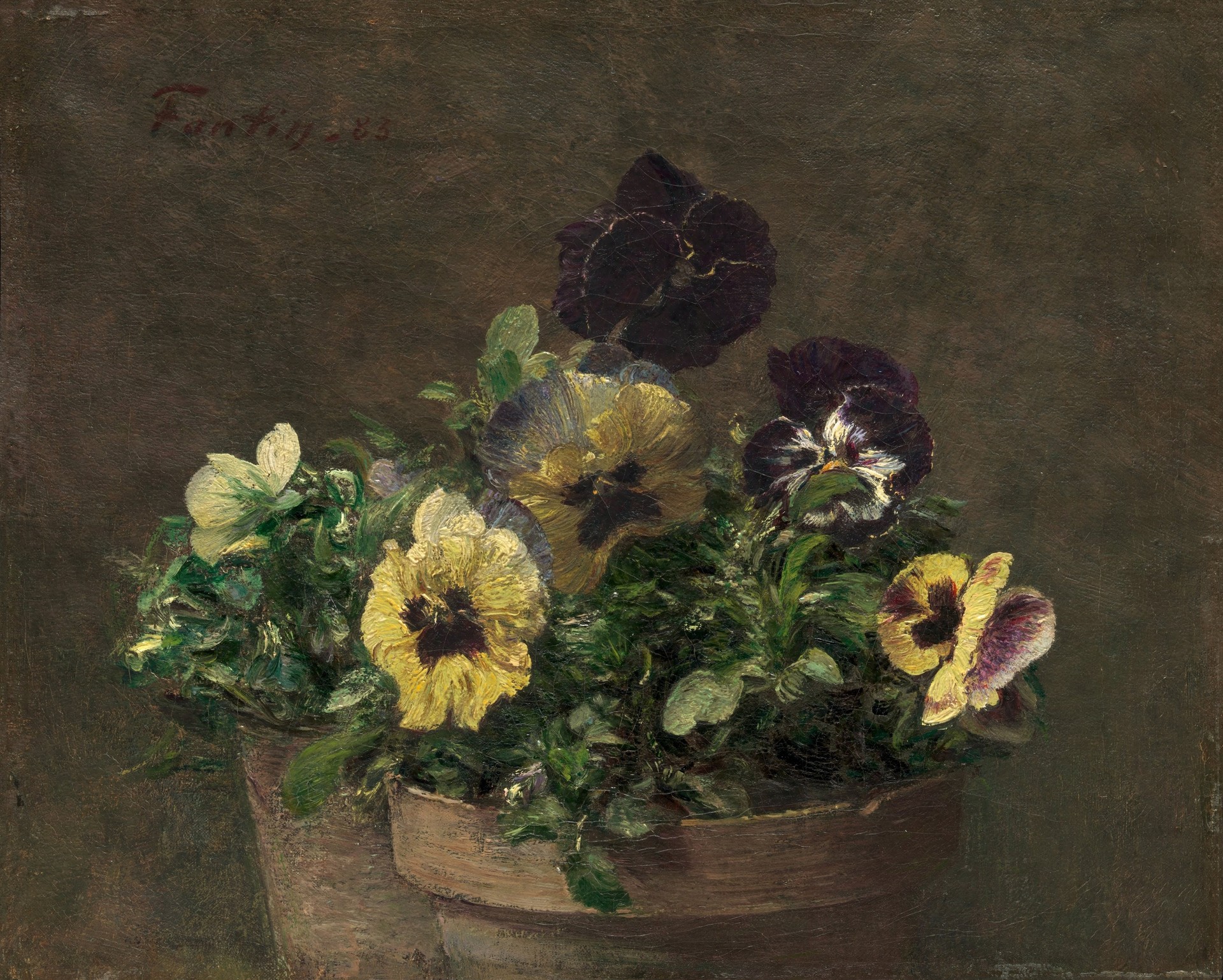 Potted Pansies - by Henri Fantin-Latour