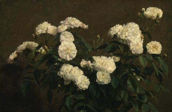 Still Life of White Roses - by Henri Fantin-Latour