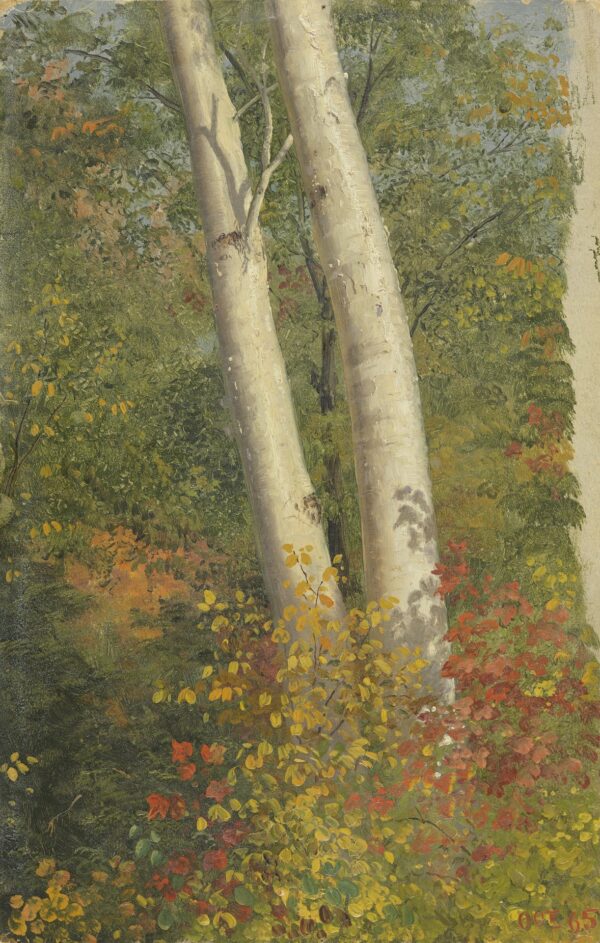 Birch Trees in Autumn - by Frederic Edwin Church