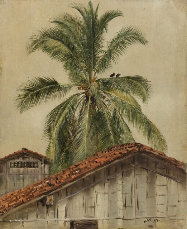 Palm Trees and Housetops, Ecuador - by Frederic Edwin Church