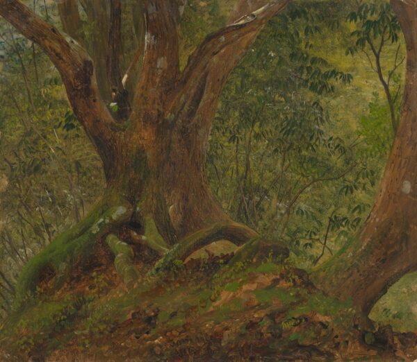 In the woods, Jamaica - by Frederic Edwin Church