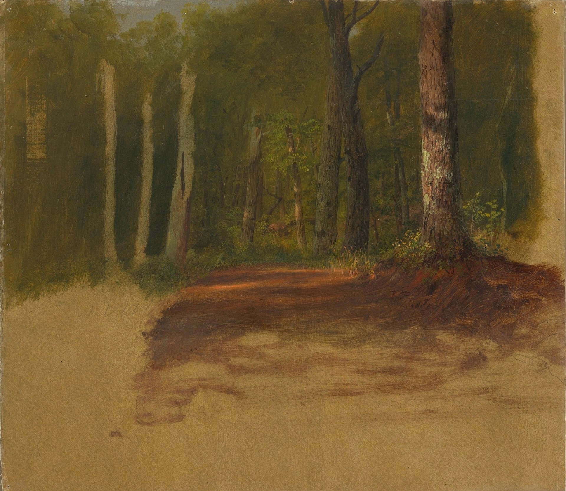 A Road into the Woods - by Frederic Edwin Church
