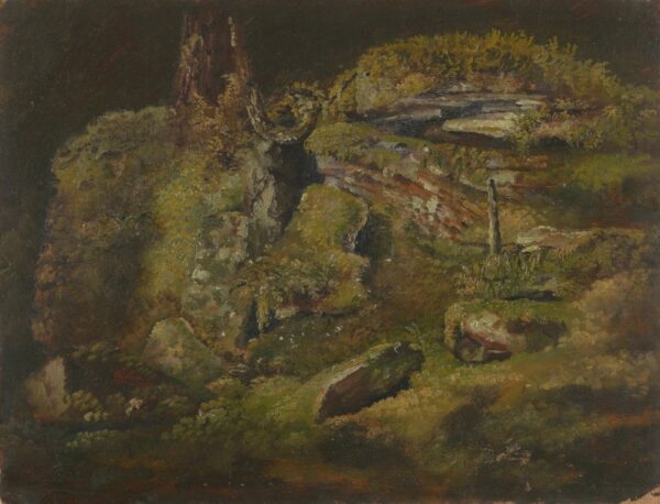 Boulder in the Woods - by Frederic Edwin Church