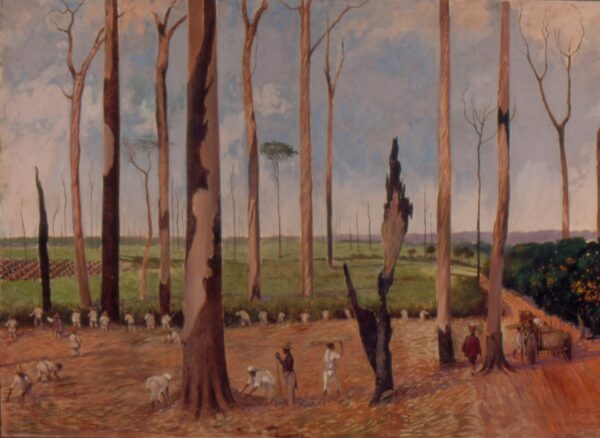 Fazenda Cachoeira - Canavial, 1840 - Alfredo Norfini