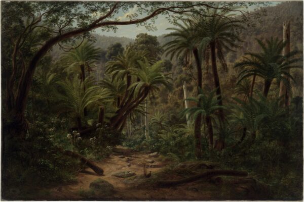 Ferntree Gully in the Dandenong Ranges - Eugene von Guerard