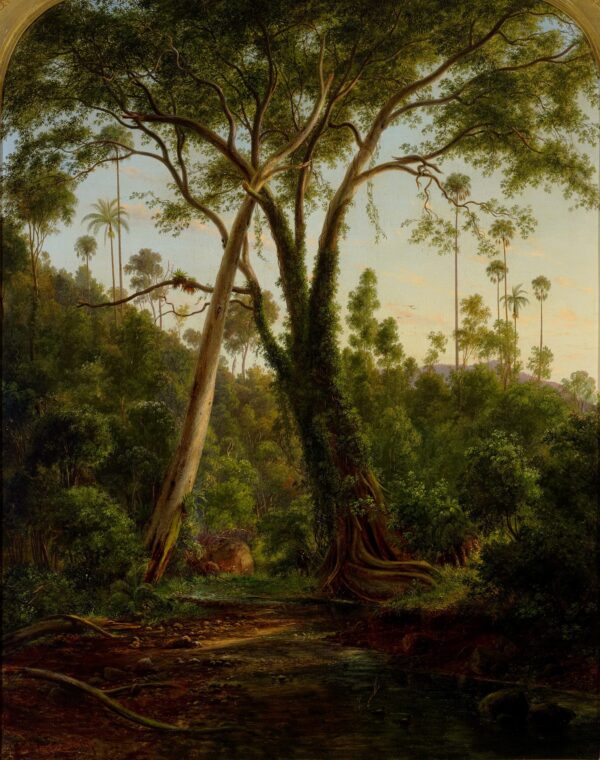 A Fig Tree on American Creek near Wollongong, NSW - by Eugene von Guerard