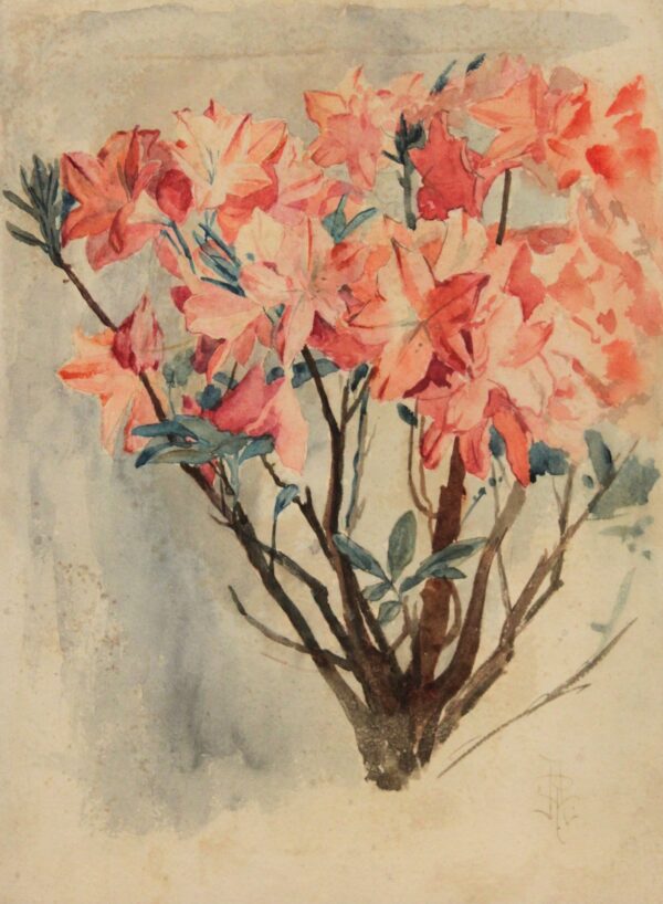 Estudo de Galho com Flores - by Rodolfo Amoedo