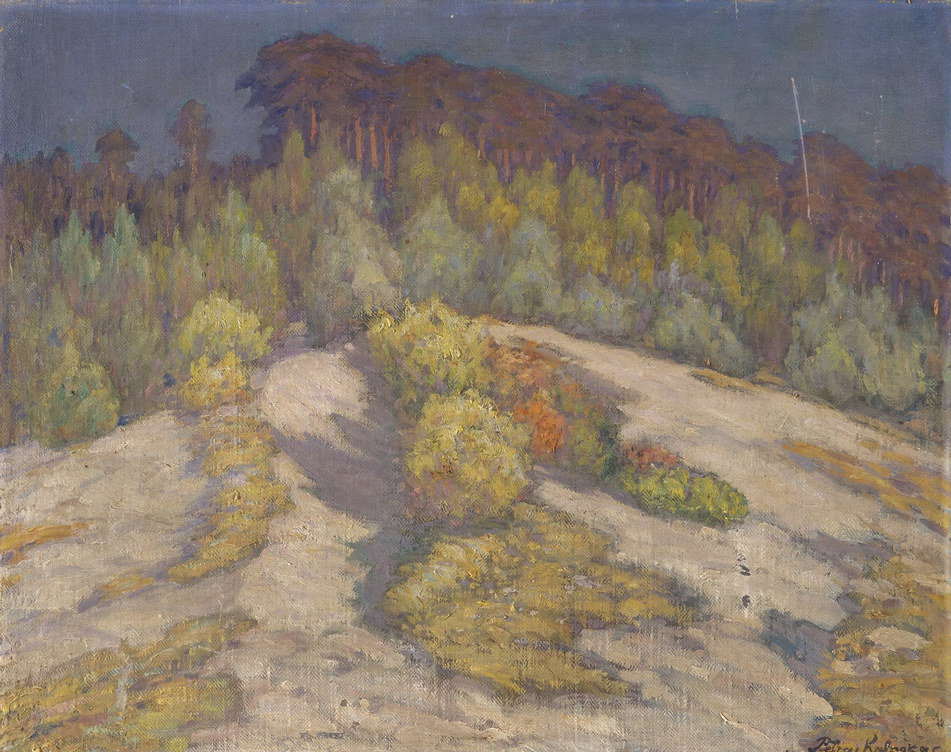 A Sunlit Hill by the Forest - by Petras Kalpokas