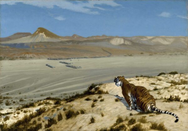 Tiger on the Watch - by Jean-Léon Gérôme