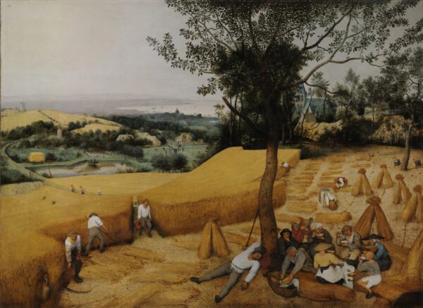 The Harvesters - by Pieter Bruegel the Elder