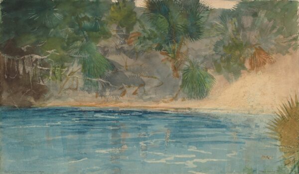 Blue Spring, Florida - by Winslow Homer