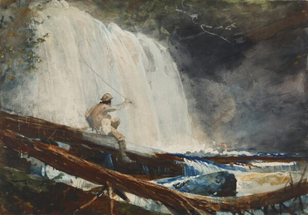 Waterfall in the Adirondacks - by Winslow Homer
