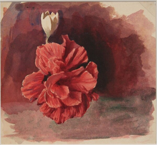Estudo de Flores Sobre Fundo Vermelho - by Rodolfo Amoedo